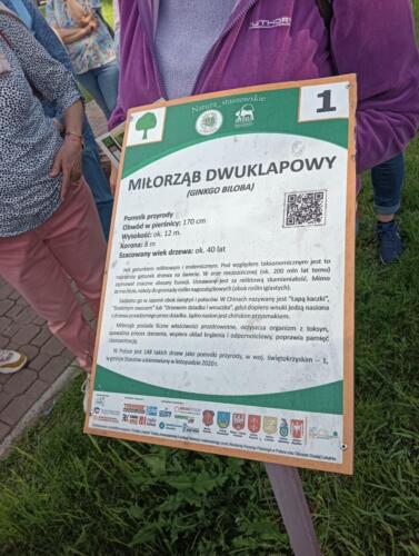 IMG20260521171108