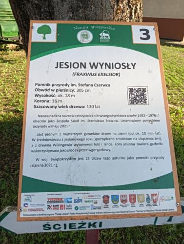 IMG20260521181301