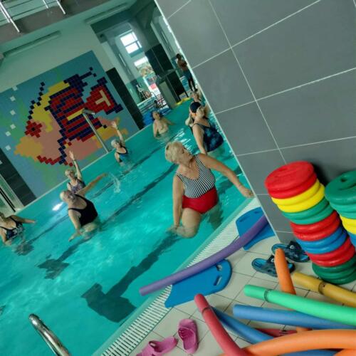 acbdbfc3-0620-44e1-b64a-7d0886487b1e