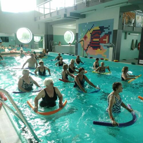 bb962627-1451-4522-a684-679802052444