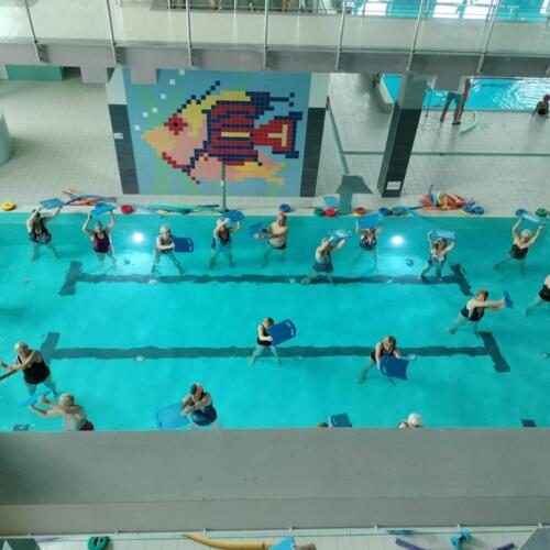 e10619bb-cbce-4fc5-9a0c-a4da34cb2f30-1-2