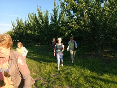 Spacer po zdrowie - wyjazd do Szydłowa i "Oazy Lawendy"